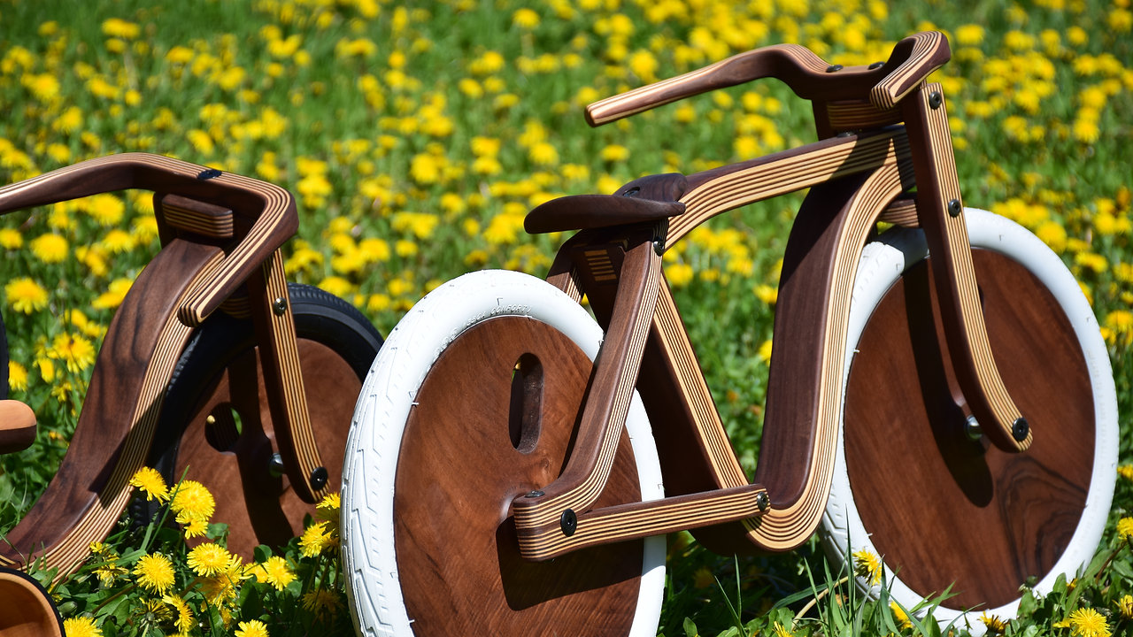 Draisiennes et tricycles en bois - Etienne Franzak