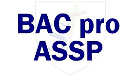 Bac pro ASSP