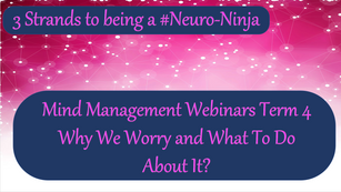 Mind Management Webinars Why We Worry And What To Do About It - Term 4