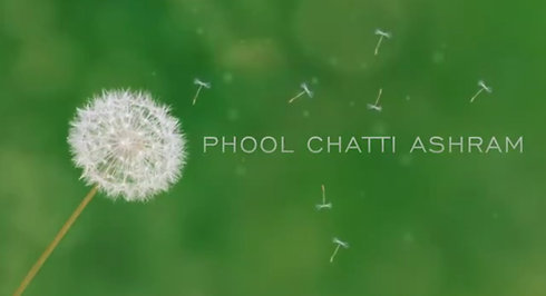 Phool Chatti program in short