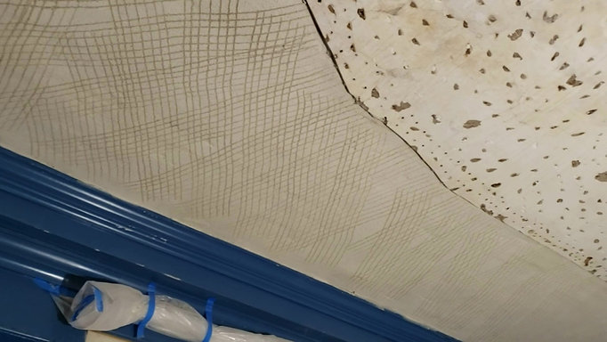 Historical Plaster Ceiling Repair