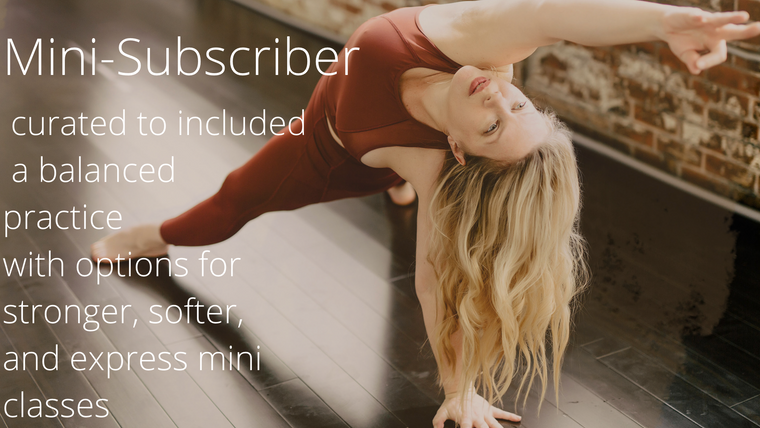 Mini Member / Monthly Subscription