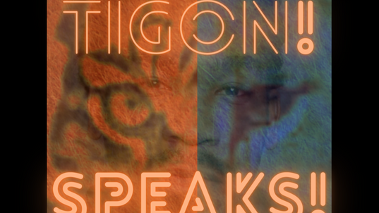 TIGON SPEAKS VIDEOS