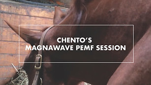 Chento's Magnawave PEMF Session