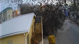 1000'S OF BIRDS SUDDENLY FALL TO THE GROUND IN MEXICO! SOMETHING VERY CREEPY ABOUT THIS!