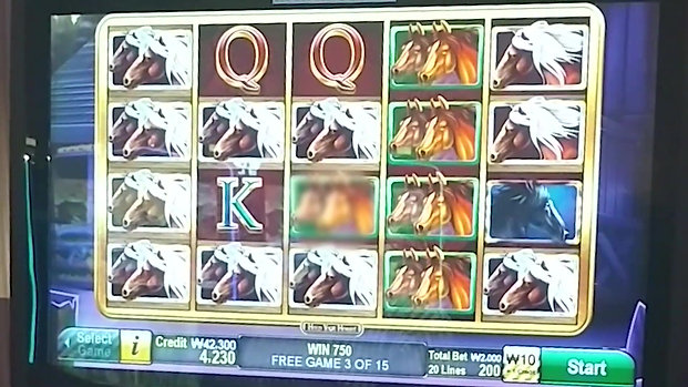 강원랜드 슬롯머신🐴Hold Your Horses🐴 Slot Machine Bonus nice win!