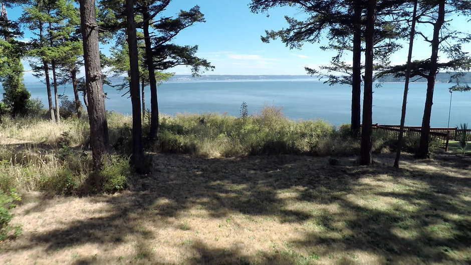 Offer a Whidbey Island lot or acreage