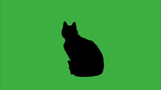 GreenScreen Cat Silhouette