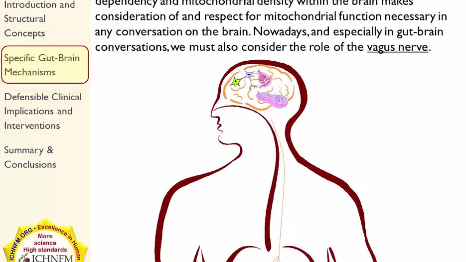 Gut-Brain Axis: Part 1, Context and Mechanisms