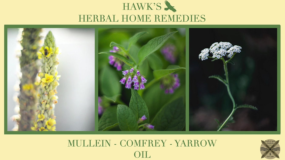 How to make your own healing oils; Yarrow oil, Mullein oil, and Comfrey oil.