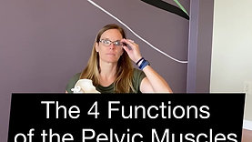 The 4 Functions of the Pelvic Muscles