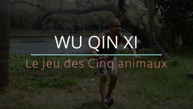 WUQINXI - Le Jeu des 5 Animaux (n°2)