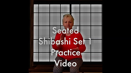 GO_Qigong Seated Set1 Practice Video