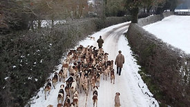 Ludlow Kennel Visit, in the snow...