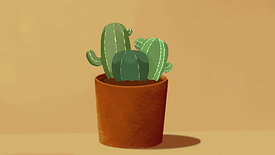 Cacti Growing