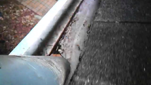 Gutter vacuum Cleaning is fast, easy and safe