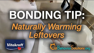 Bonding - Naturally Warming Leftovers