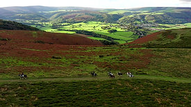 North Hill Ride and Exmoor Ponies