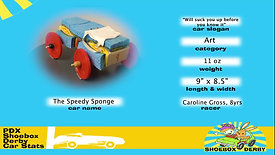 #09 The Speedy Sponge . I'll suck you up before you know it