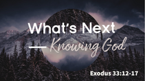 What's Next - January 23