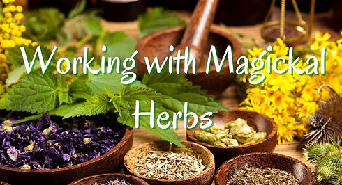Working with Magickal Herbs