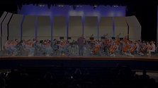 Philharmonic and Chamber Orchestras