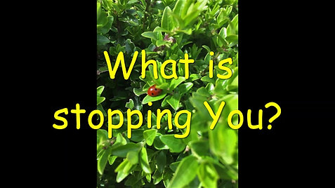 what is stopping you?