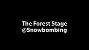 Snowbombombing The Forest