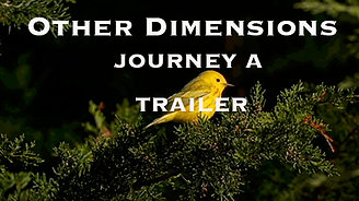 OTHER DIMENSIONS JOURNEY A FREE TRAILER