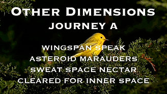 OTHER DIMENSIONS JOURNEY A