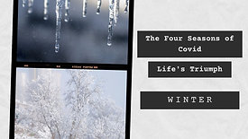 The Four Seasons of Covid - Winter