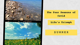 The Four Seasons of Covid - Summer