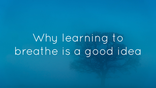 Why learning to breathe better is a great idea