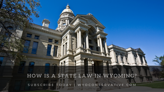 How is a State Law Made in Wyoming