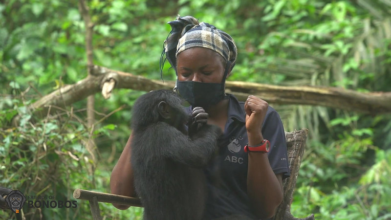 Lola ya Bonobo - la nursery