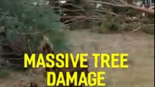 Emergency Tree Service - Multiple Tree Falls