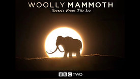 BBC 1 Woolly Mammoth: Secrets from the Ice