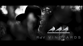 RDV Vineyards - 10 Years at RDV