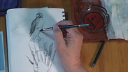 Red Tailed hawk drawing