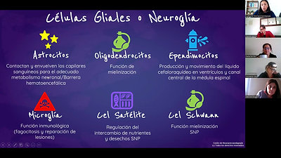 Módulo I Células Nerviosas
