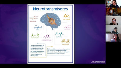Módulo I Sinapsis y Neurotransmisores