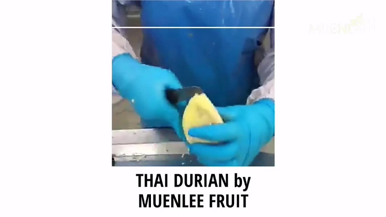 Durian Factory