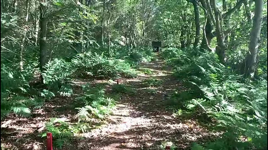 Forest Spirit Archers Bottom Course