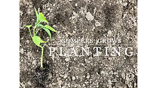 Gompers Grows_Planting a Garden