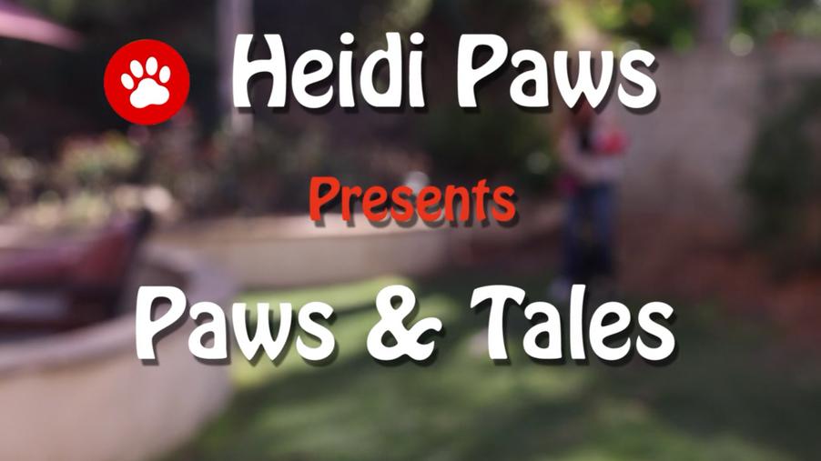 All Heidi Paws Instructional Videos
