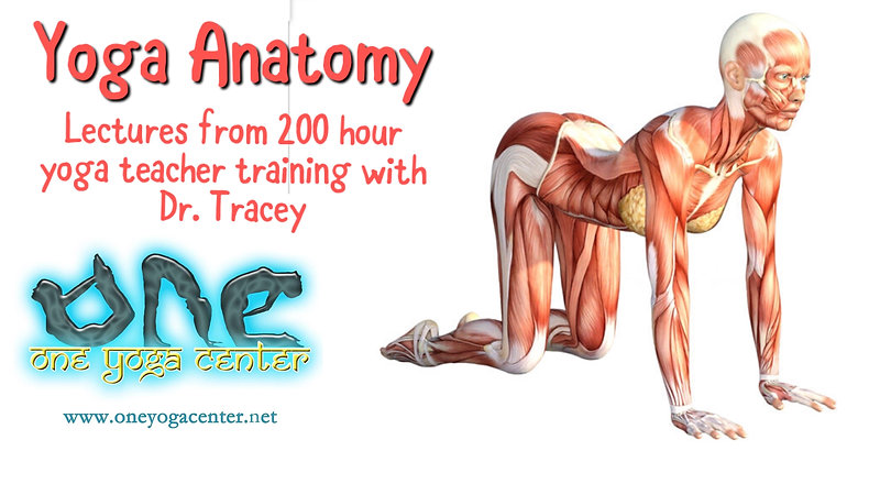 Yoga Anatomy Lesson Pt. 2