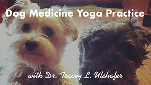 Dog Medicine Yoga Practice