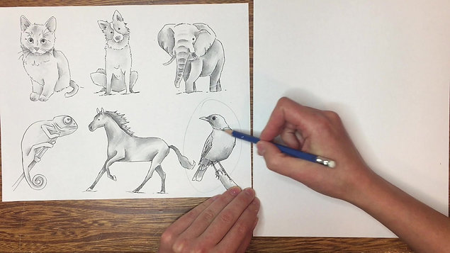 Intro to Drawing