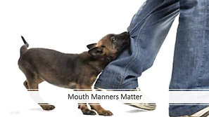 Mouth Manners Matter