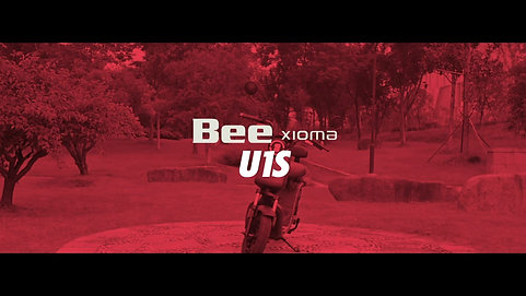 Bee U1S